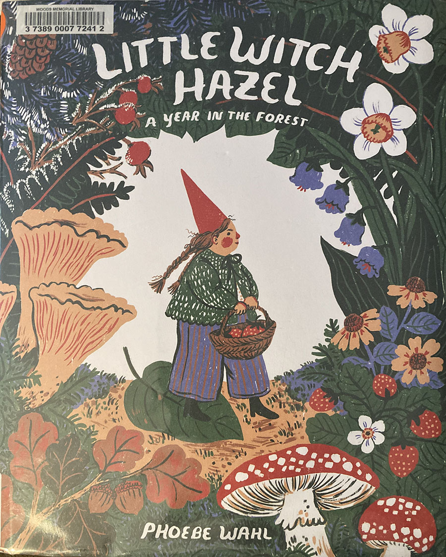 Little Witch Hazel A Year in the Forest by Phoebe Wahl