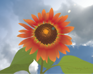 Sun Bloom