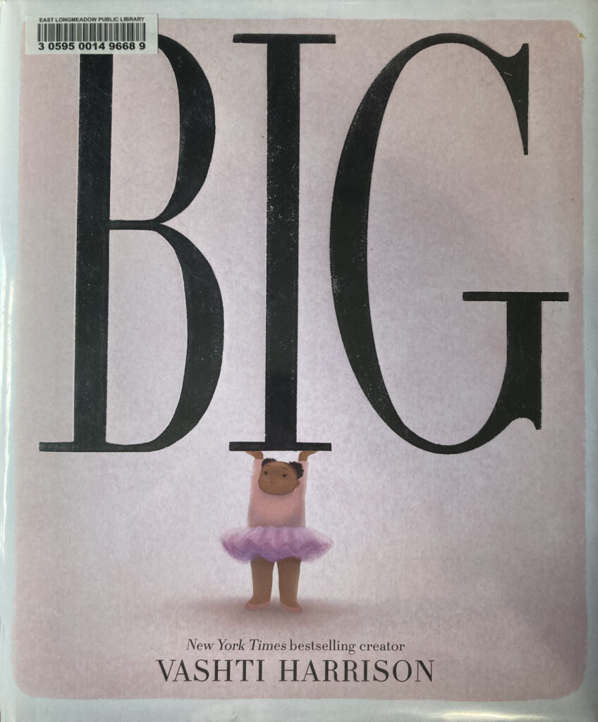 BIG by Vashti Harrison