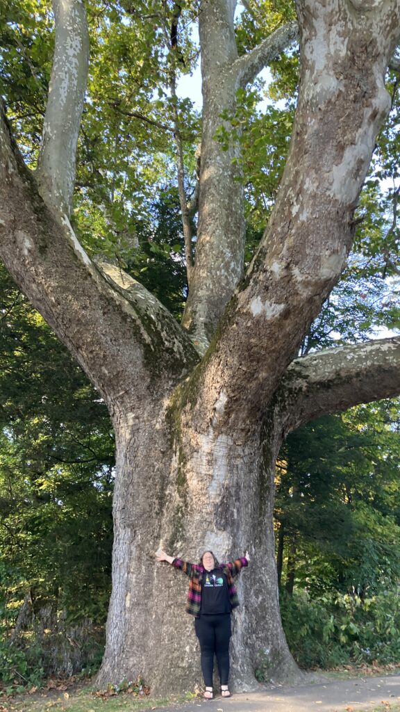 Marie at the Buttonball Tree