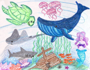 Ocean Creatures!