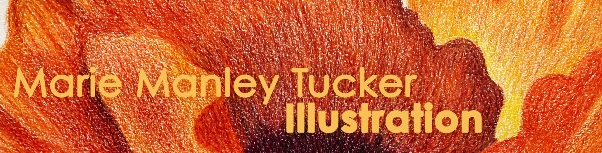 Marie Manley Tucker Illustration